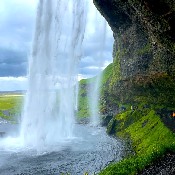 Meet your Posher, Rochelle - Picture 1 of 1